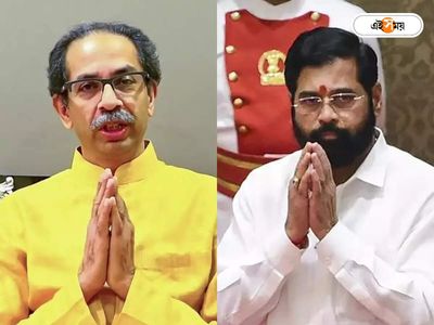 Shiv Sena turns 60: Uddhav faction faces existential crisis, Shinde group battles for relevance