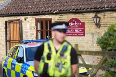 Man bailed as ‘not fit for interview’ after boy ended up in crocodile enclosure
