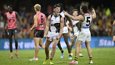 Hawthorn mids fire as Suns sink to fourth straight loss