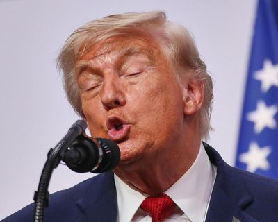 Digested week: Struggling bees and the G7’s hot mics may speak volumes