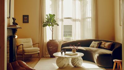 10 Ways to Style a Brown Sofa Like an Interior Designer — How Experts Enhance a Living Room With This Rich-Hued Focal Point