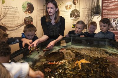 Norway severely curtails AI use in elementary school