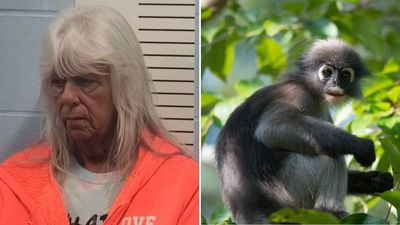 Missouri Woman Pleads Guilty After Allegedly Trading Her Foster Child for a Monkey