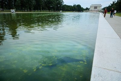 Reflecting Pool is now green and peeling