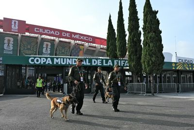 Mexico Homicides Plunge to Historic Lows During 2026 World Cup Opening Days