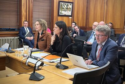 Australian firm advises Stanford on ‘winning hearts and minds’ of NZ teachers