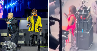Fans Furious Over “Temu Fergie” After Spotting What She Was Doing During Black Eyed Peas Concert