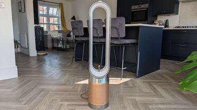 ‘Feels like a natural breeze’: I reviewed Dyson’s clever purifying fan that follows you around the room, and was blown away by its smart features and wonderfully engineered performance