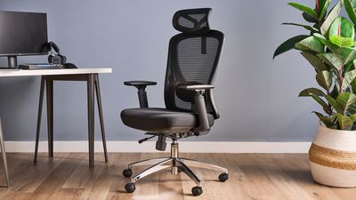 I’ve been testing this budget desk chair from Boulies, and it’s so comfortable I don’t ever want to change it — as long as I can get the seat to last
