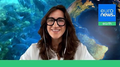 'It belongs to all of us': How the High Seas Treaty is shaping global waters