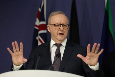 Anthony Albanese calls first H5N1 bird flu case ‘concerning’ as virus reaches Australia