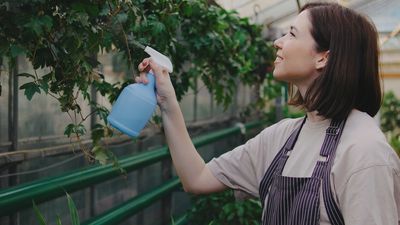 8 Cheap Gardening Supplies That Work Better Than Expensive Versions
