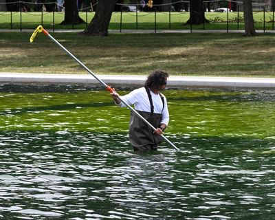 DC’s ‘renovated’ pool reflects the Trump administration’s dangerous hubris