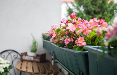 The Container Gardening Trend That’s Exploding on TikTok