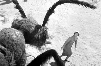 72 Years Later, America's Answer To 'Godzilla' Just Got A Huge Upgrade