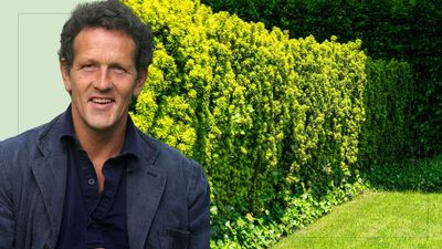 Monty Don shares the important reason you shouldn't cut back your hedges too far this month