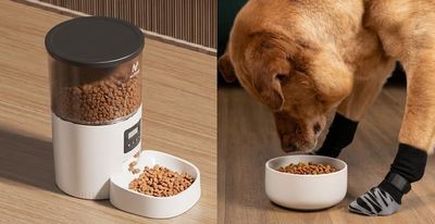 Genius Pet Products on Amazon That Make Life Calmer, Cleaner & Cuter