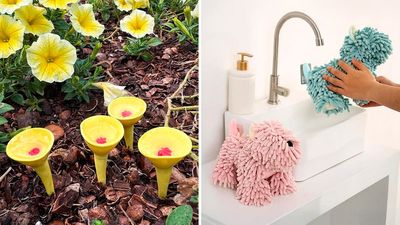 Kooky things I discovered on Amazon that are actually life-changing