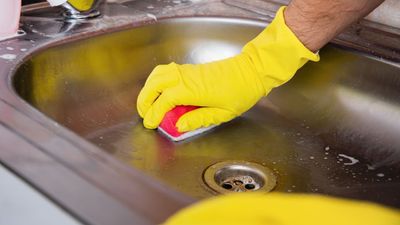 The hidden part of your kitchen harbouring bacteria — and how to clean it for good