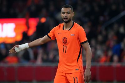 Netherlands vs Sweden predictions, as two European heavyweights do battle