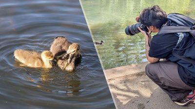 I’ve taken over 6,000 photos on the Canon EOS R6 Mark III — here are my favorite portraits, wildlife, and landscape shots