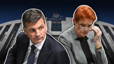 Liberals fight member exodus as One Nation surges
