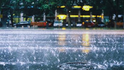 Mumbai rainfall forecast: Monsoon set to strengthen in Maharashtra this week, check district-wise outlook