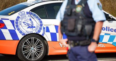 Men from Canberra, Nelligen dead in horror highway crash on South Coast