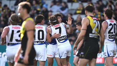 Kangaroos hold on for scrappy AFL win over Tigers