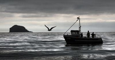 Campaigners to hand First Minister petition on protecting Scotland's seas