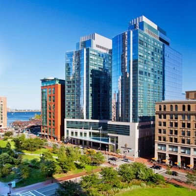 Meet The Waterfront Boston Location That Feels Like a Calm City Reset