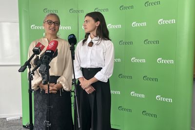 Greens take aim at the ‘cost of greed’ with $32b wealth and big tech tax plan