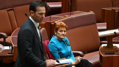 Nationals ape Hanson 'liar' slogan as tax debate flares