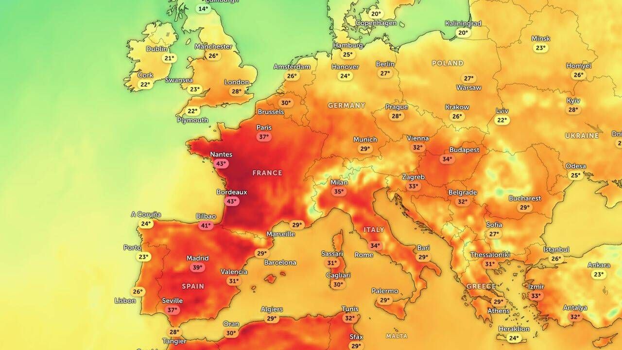 Reuters Climate Monitor