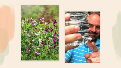 Keep your plants hydrated during the heatwave with this genius DIY irrigation trick