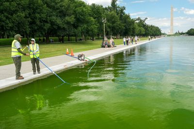 Trump Says $14 Million Reflecting Pool May Be Drained Weeks After Overhaul as Fresh Issues Emerge