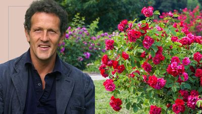 This is the one gardening job Monty Don does every day during June - here's why you should do it too
