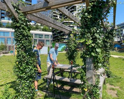 From mobile jungles to shadow art: how Dutch people try to beat the heat