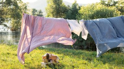 'Sun washing' pillows and bedding in a heatwave won't kill dust mites and fungi — this exact temperature will, infection expert says