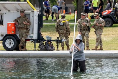 Dead animal in Reflecting Pool as Trump’s renovation crumbles