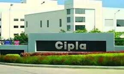 Cipla shares jump 4% as Citi puts stock on 90-day catalyst watch. What's driving the optimism?