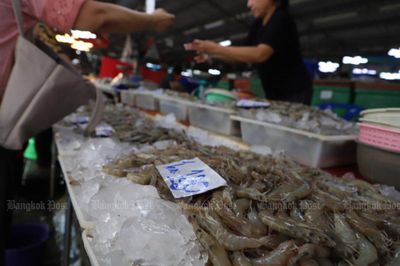Malaysia to boost shrimp output, replace banned Thai imports