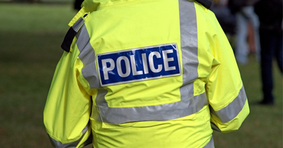 Viral Video Show 'Disgraceful' UK Cops Punching Young Girls in Rotherham, Sparks Massive Backlash