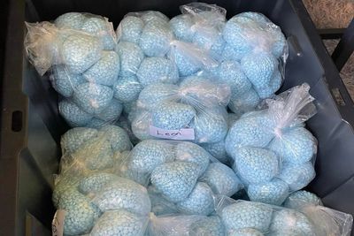DEA let fentanyl flood New Mexico streets as whistleblower warns ‘we got people killed’