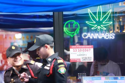 Penalty guidelines set for cannabis business offences