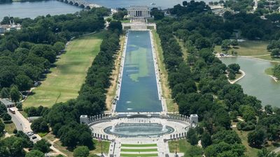 Algae blooms, paint peels, and Trump claims the reflecting pool was vandalized. Now US Park police have arrested a three-time Olympian