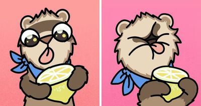 Artist Shares 57 New Comics About Ferrets, Pets, And Everyday Absurdities