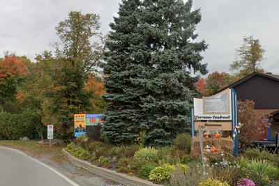 Quebec town makes history by granting legal rights to trees as living beings