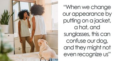 We Asked An Animal Behaviorist About 18 Human Habits That Confuse Dogs The Most