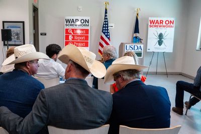 Texas Declares Emergency as Flesh-Eating Parasite Returns for the First Time in Nearly 60 Years and Spreads to Pet Dogs